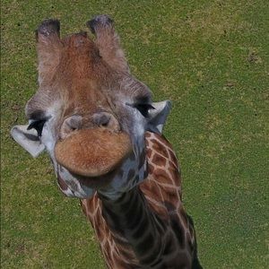 Meet your Posher, Lidia